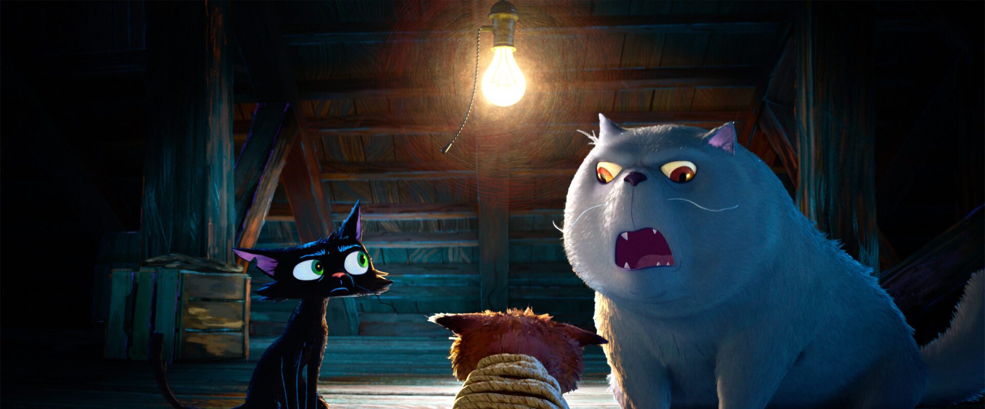 gatto pixar 2027